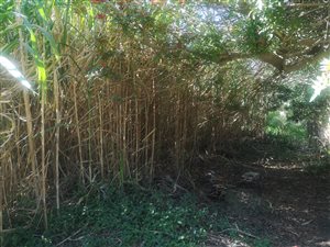 1016 m² Land available in Port Edward