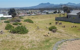495 m² Land available in Mountainside