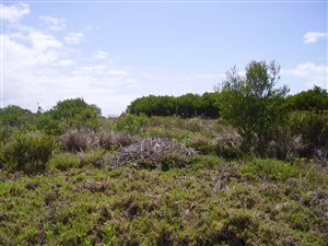 509 m² Land available in Fountains Estate