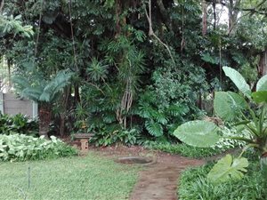 800 m² Commercial space in Louis Trichardt