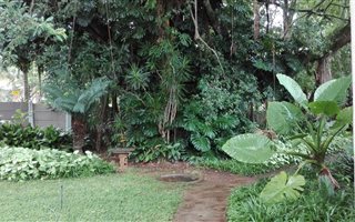 800 m² Commercial space in Louis Trichardt