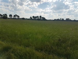 3.5 ha Farm in Marlbank