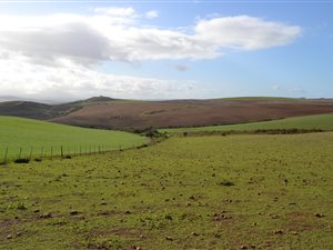 566.6 ha Farm in Heidelberg