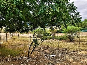 911 m² Land available in Tulbagh