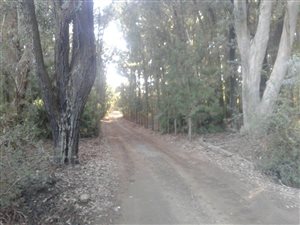39 ha Land available in Bloemfontein Rural