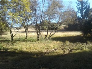 39 ha Land available in Bloemfontein Rural