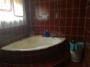 4 Bed House in Zakariyya Park
