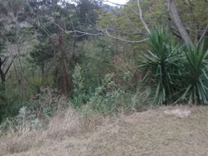 3919 m² Land available in Forest Hills