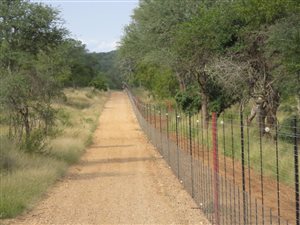 Game Farm in Gravelotte