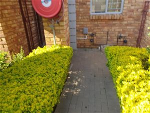 2 Bed Apartment in Theresa Park