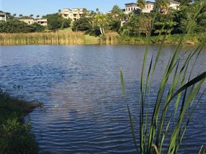 4 Bed House in Palm Lakes Estate