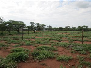 30 ha Farm in Northam
