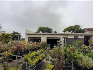 894 m² Commercial space in Bluff
