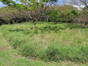 1643 m² Land available in Mtunzini
