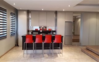 1 Bedroom Apartment in Newtown