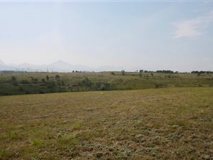 8749 m² Land available in George Central