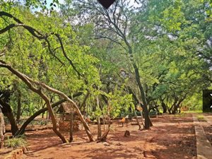23.9 ha Farm in Zandfontein AH