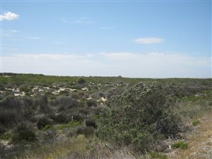 1501 ha Farm in Yzerfontein