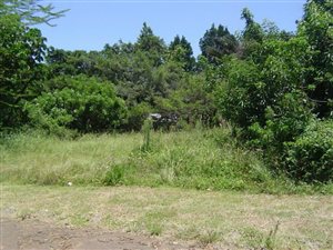 1192 m² Land available in Mtunzini