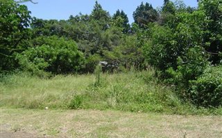 1192 m² Land available in Mtunzini