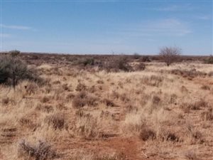 6032 ha Farm in Carnarvon