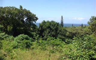 2018 m² Land available in Hibberdene