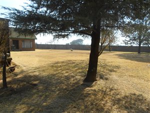 2.2 ha Farm in Delmas