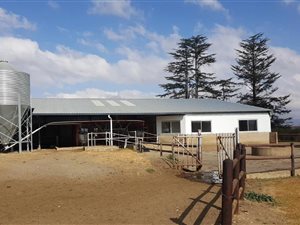 674.9 ha Farm in Kokstad