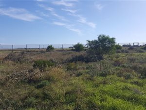 720 m² Land available in C Place