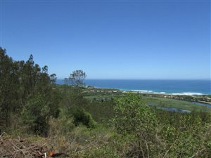 3.1 ha Land available in Hoekwil