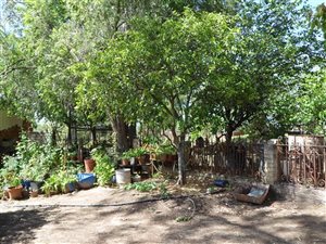 51 ha Farm in King Williams Town