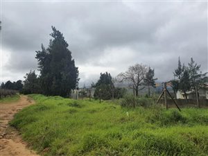 10 ha Farm in Northern Paarl