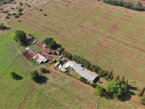 8.5 ha Land available in Wonderboom