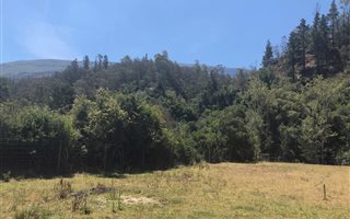 2502 m² Land available in Suurbraak
