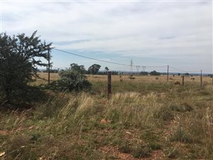 8.5 ha Farm in Vaalfontein