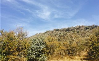 1022 m² Land available in Eye of Africa