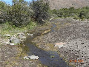 4471 ha Farm in Beaufort West
