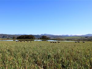 402 ha Farm in Stanford