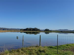402 ha Farm in Stanford