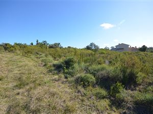 1900 m² Land available in Schoongezicht