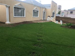 4 Bed House in Houghton Estate