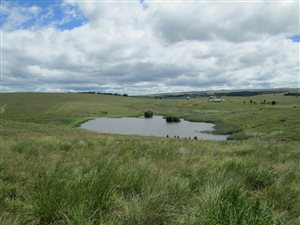 4 Bed House in Dullstroom