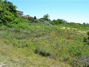 800 m² Land available in Santareme