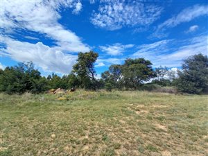 1443 m² Land available in Berg en Dal