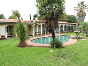 8 Bed House in De Deur