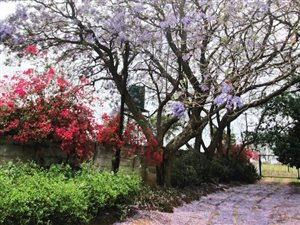 4.9 ha Farm in Ruimsig
