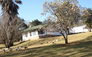 2.9 ha Farm in Byrne Valley