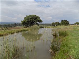 16 ha Farm in Rustenburg Central