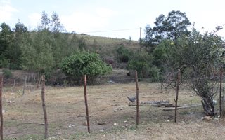 598 m² Land available in Suurbraak