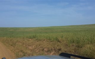 40 ha Farm in Ballito